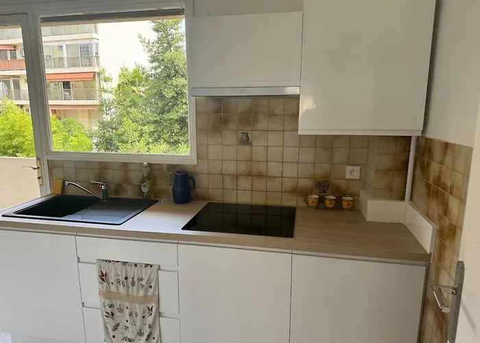 Apartment Les Pins Centre Proche 3 Pieces Juan-les-Pins